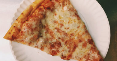 Cheese Pizza Slice on Paper Plate