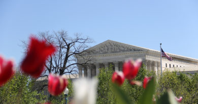 U.S. Supreme Court in Spring image credit U.S. Govt Works - Architect of the Capitol