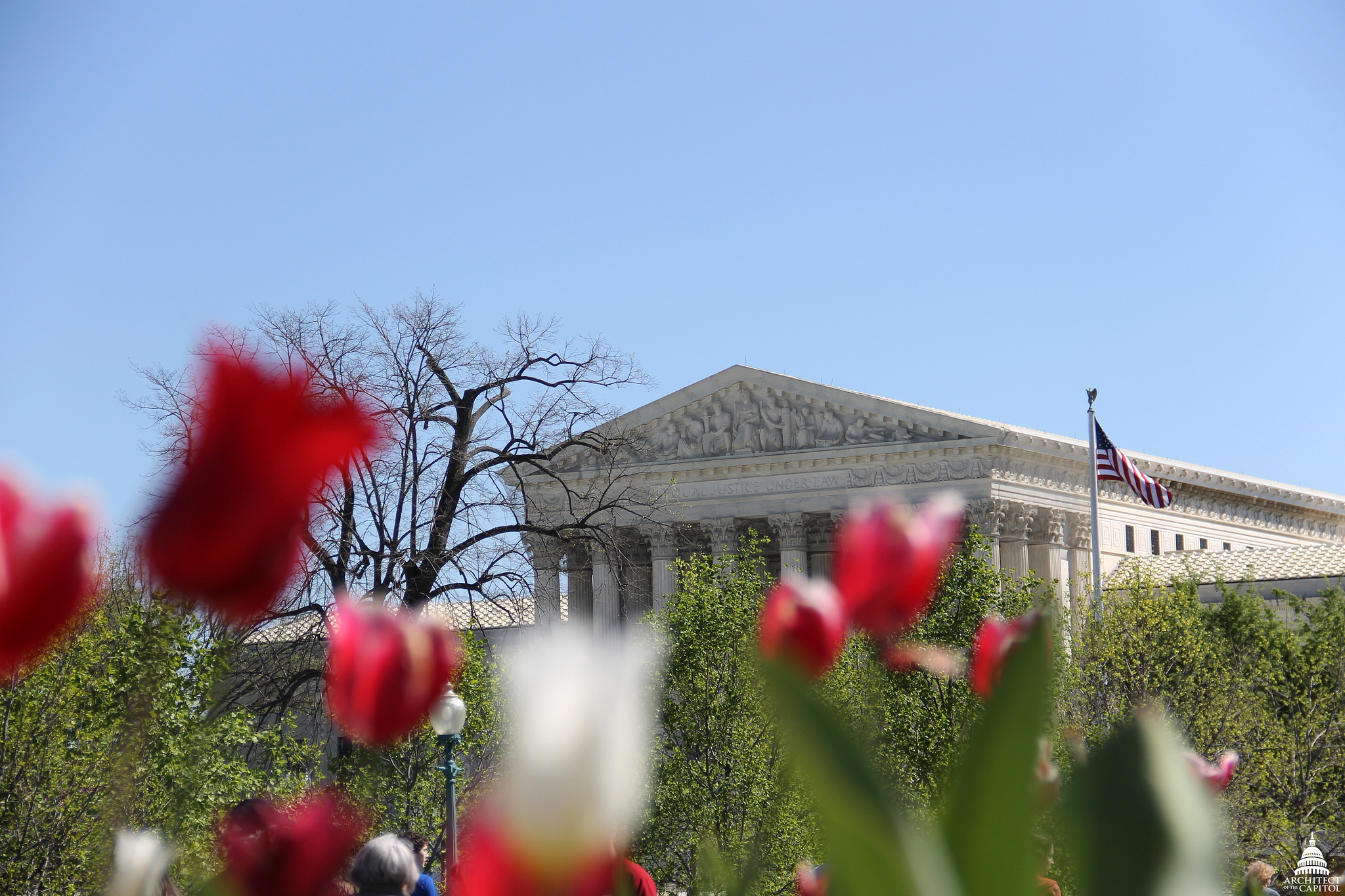 U.S. Supreme Court in Spring image credit U.S. Govt Works - Architect of the Capitol