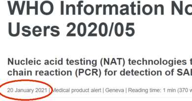 20210120-WHO PCR guidance screenshot