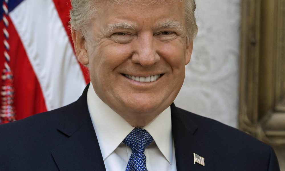 President Trump Official Portrait